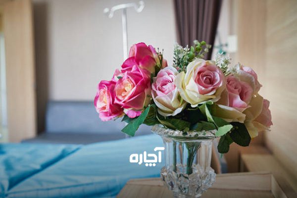 برای بیماری چه گلی ببریم گلدان مناسب برای اتاق بیمار