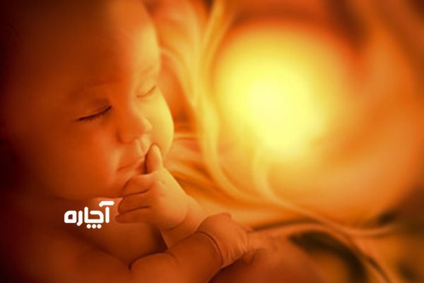 فواید خرمالو در زیبایی جنین آیا خرمالو بچه را خوشگل می‌کند؟